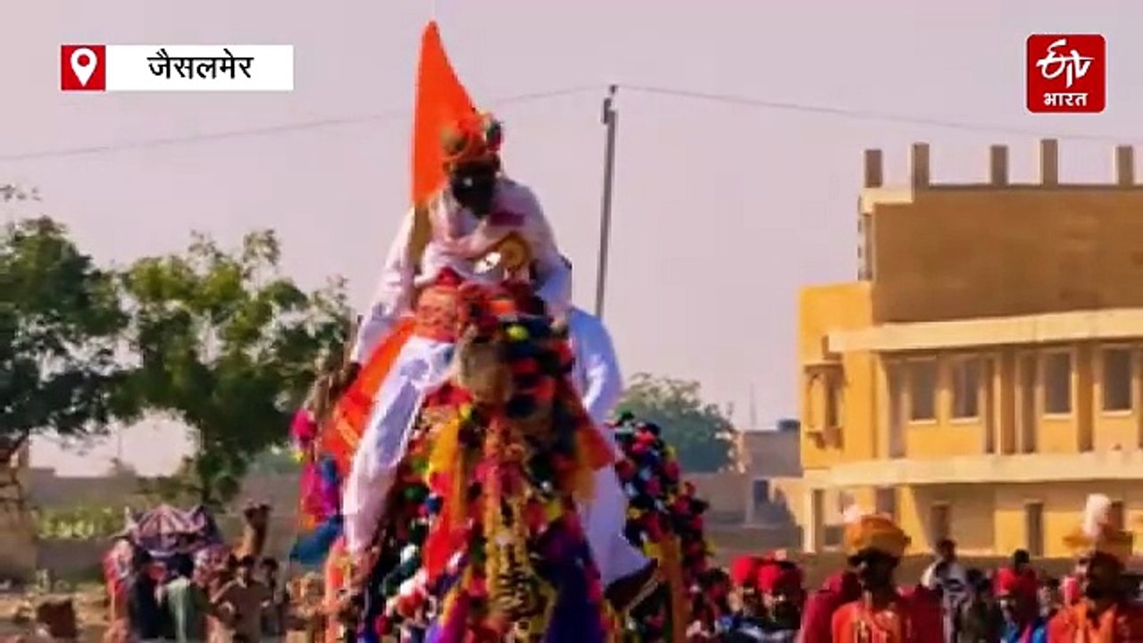मरू महोत्सव का तीसरा दिन रहा रेगिस्तान के जहाज...