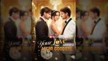 Your Love Arrived After Goodbye Releases 2026 - Full