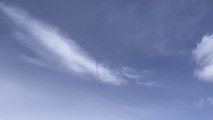 Royal Canadian Air Force flyover