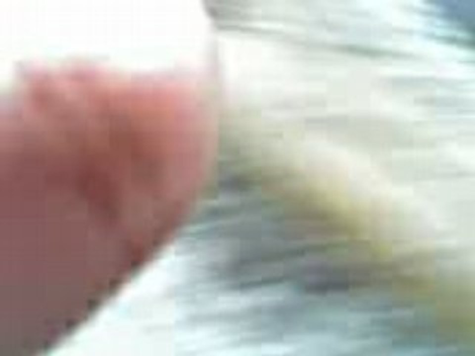 SAM1