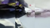 Polis pizzacı kılığına girdi, 