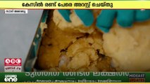 സൗദിയിലേക്ക് കടത്താന്‍ ശ്രമിച്ച ലഹരി ഗുളികകളുടെ വന്‍ശേഖരം പിടിച്ചെടുത്ത് സൗദി കസ്റ്റംസ് അതോറിറ്റി