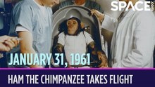 OTD In Space - January 31: Ham the Chimpanzee Takes Flight