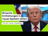 Brisante Enthüllungen in neuen Epstein-Akten - 