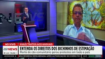 Morte do cão ‘Orelha’ causa revolta no Brasil: Culpados serão punidos? Professor analisa