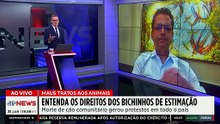 Morte do cão ‘Orelha’ causa revolta no Brasil: Culpados serão punidos? Professor analisa
