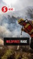Unprecedented wildfires in Argentina's Patagonia test firefighters, burn 50,000 hectares