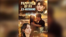 Pampered By My Ex-husband Full Chinese Drama