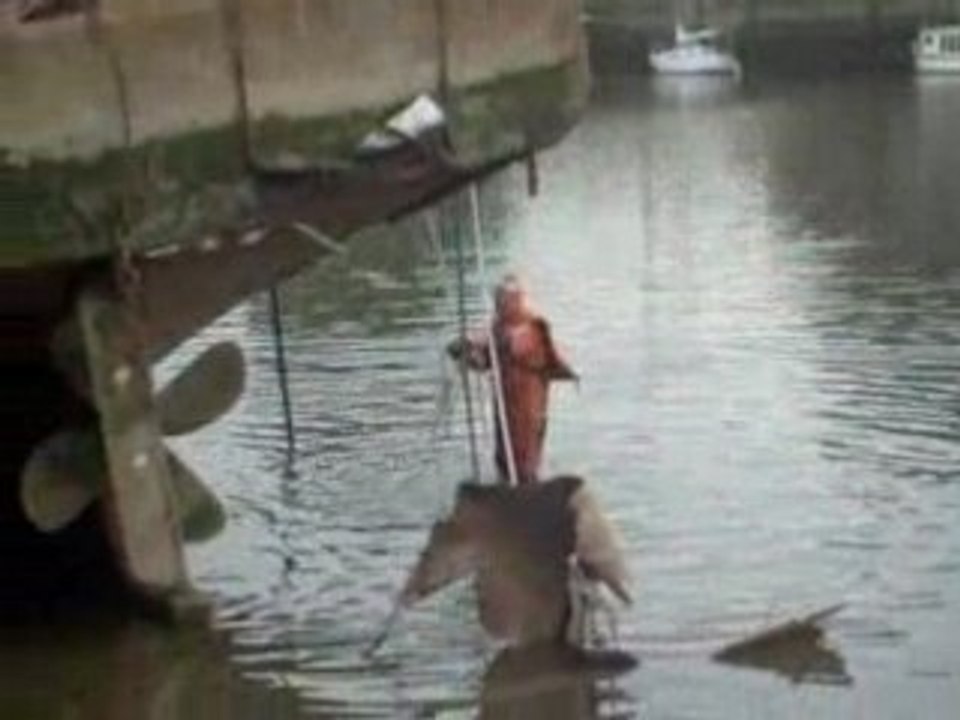 la soupe aux choux est de retour