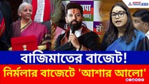 নির্মলার বাজেটে 'আশার আলো', অর্থমন্ত্রীর প্রশংসায় পঞ্চমুখ জোট শরিকরা