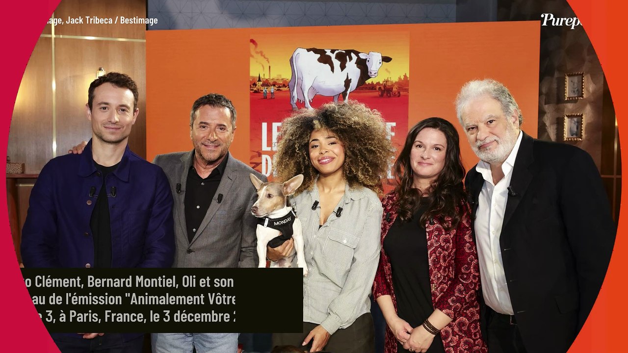 Le compagnon d'une ancienne Miss France partage...