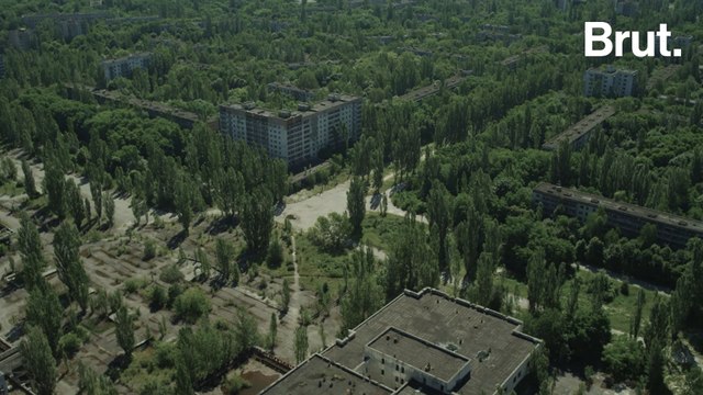 Et si l’effet Tchernobyl n'existait pas ?