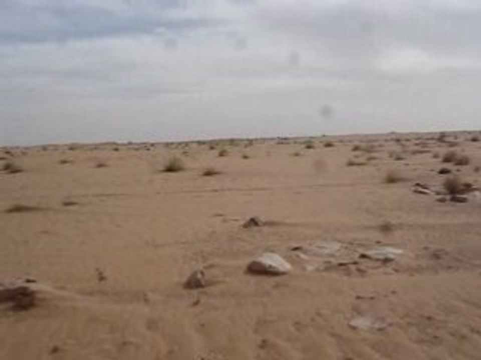 sahara , janvier 2007