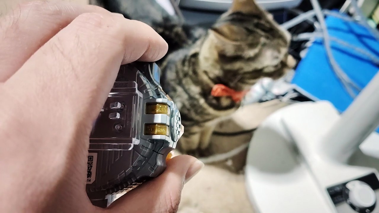 ブレイド キングフォームライドウォッチに興味ないシフォン