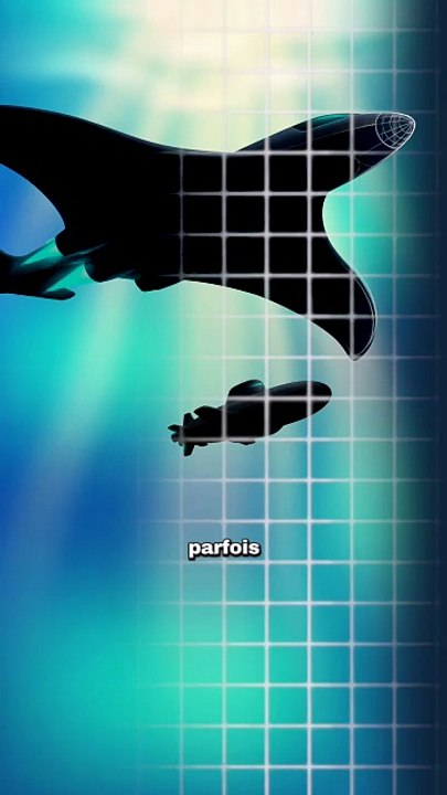 Comment DOMINER l'océan ? #raie #ocean #manta #animaux #nature