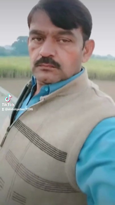 Punjabi mahol