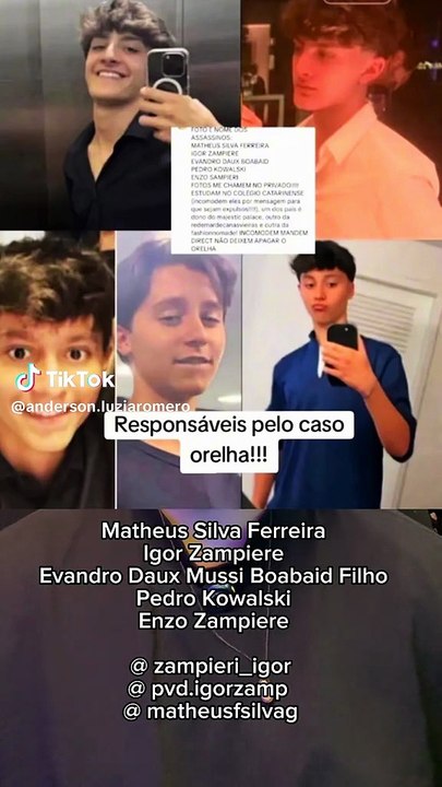 Caso da morte do cachorro Orelha por jovens da alta sociedade do Brasil