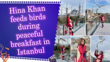 Hina Khan shares serene morning in Istanbul with Hagia Sophia and Blue Mosque in the backdrop