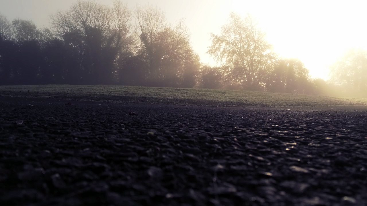 Misty morning