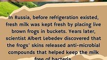 how to keep milk free from bacteria with live frogs #history