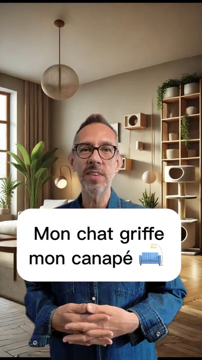 Mon chat griffe mon canapé !