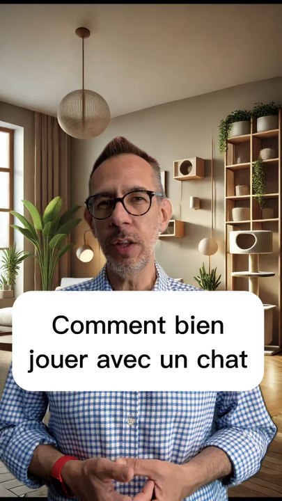 Comment bien jouer avec son chat ?