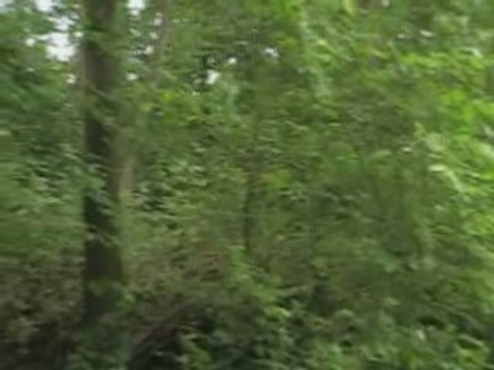 Laurentes3r5gt