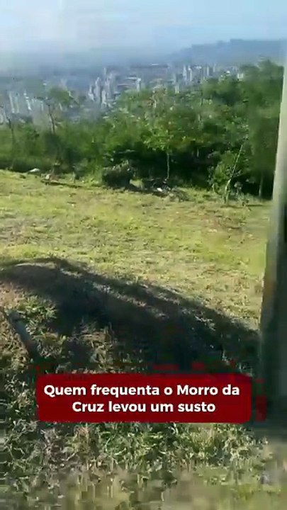 Corte de árvores gera denúncia no Morro da Cru