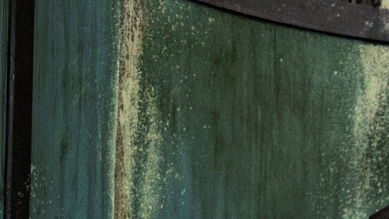 What We Do in the Shadows (Vampires en toute intimité)