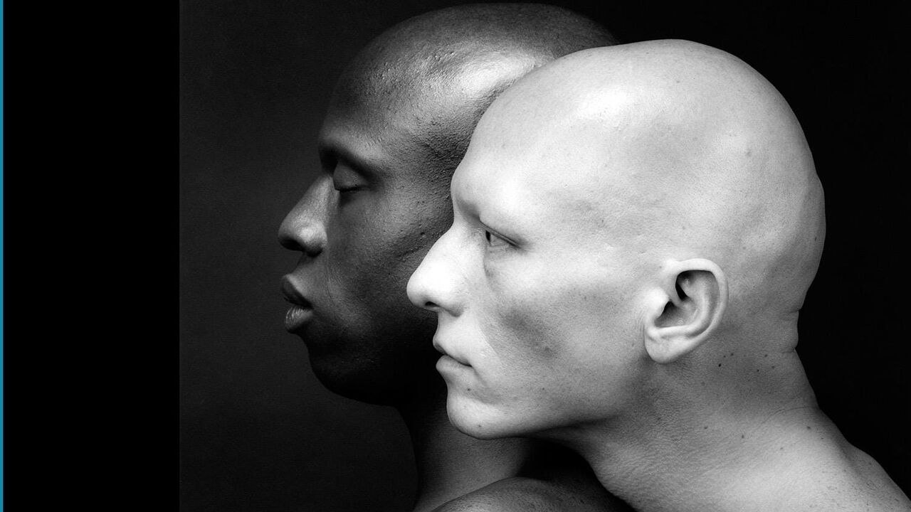 Mapplethorpe : Look at the Pictures
