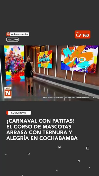 ¡Carnaval con patitas! El Corso de Mascotas arrasa con ternura y alegría en Cochabamba