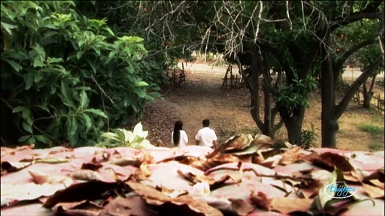 Đêm Trong Căn Nhà Hoang Full - Phim Kinh Dị Việt Nam Chiếu Rạp Siêu Ám Ảnh | Phim Hay