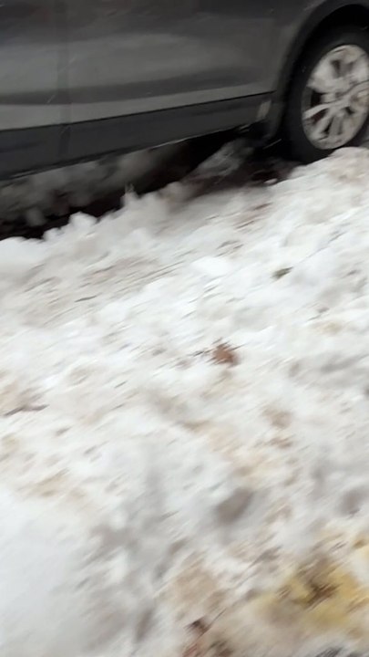 Rat-infested garbage around Gracie Mansion