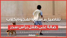 "نهشت جسمه".. تفاصيل مأساوية لهجوم كلاب ضالة على طفل برأس سدر