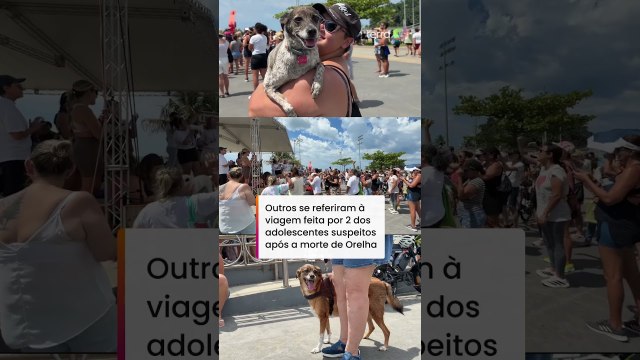 Manifestantes pedem 'Justiça pelo cão Orelha' em protestos por várias cidades do País #shorts