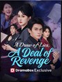 A Draw of Lies A Deal of Revenge Drama Movies English Sub