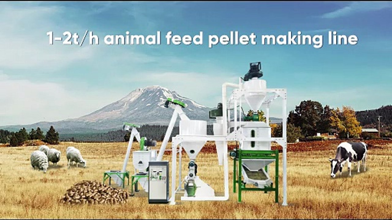 1–2 Ton Animal Feed Production Line | Compact Solution for Small & Medium Feed Plants
