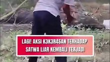 Diduga Curi Hasil Panen, Monyet Ekor Panjang Jadi Sasaran Kekerasan Warga