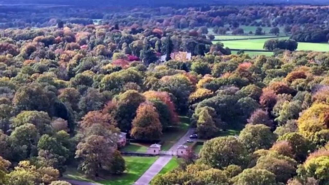 UK PM says ex-Prince Andrew should testify before Congress over Epstein