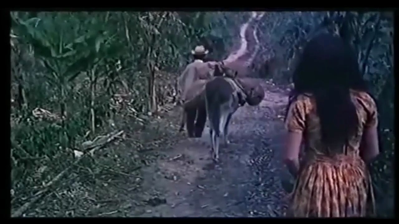 Pisingaña 1985
