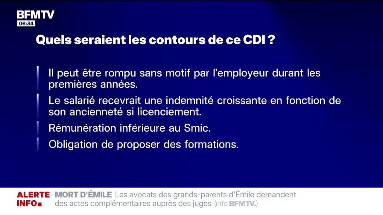 Le Medef propose un CDI spécial jeunes qui peut être rompu sans motif et payé moins que le Smic
