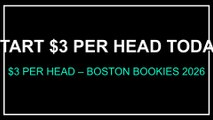 $3 Per Head – Pay Per Head $3/Head – Boston Bookie Software 2026