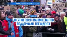 Чехи поддержали своего президента в конфликте с премьером