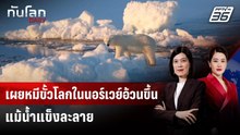 เผยหมีขั้วโลกในนอร์เวย์อ้วนขึ้นแม้น้ำแข็งละลาย | ทันโลก DAILY | 2 ก.พ. 69