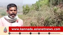 ಸಚಿವೆ ಲಕ್ಷ್ಮೀ ಹೆಬ್ಬಾಳ್ಕರ್ ಕ್ಷೇತ್ರದಲ್ಲಿ ಮರಗಳ ಮಾರಣಹೋಮ; ಗ್ರಾಮಸ್ಥರ ಆಕ್ರೋಶ | Belagavi | Trees Cutting