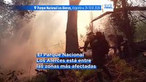 Argentina declara el estado de emergencia en la Patagonia por los incendios forestales