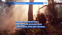 Argentina declara estado de emergência na Patagónia devido a incêndios florestais