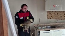 Kedi kurtarma operasyonuyla gönülleri fetheden itfaiye ekibine alkışlı teşekkür