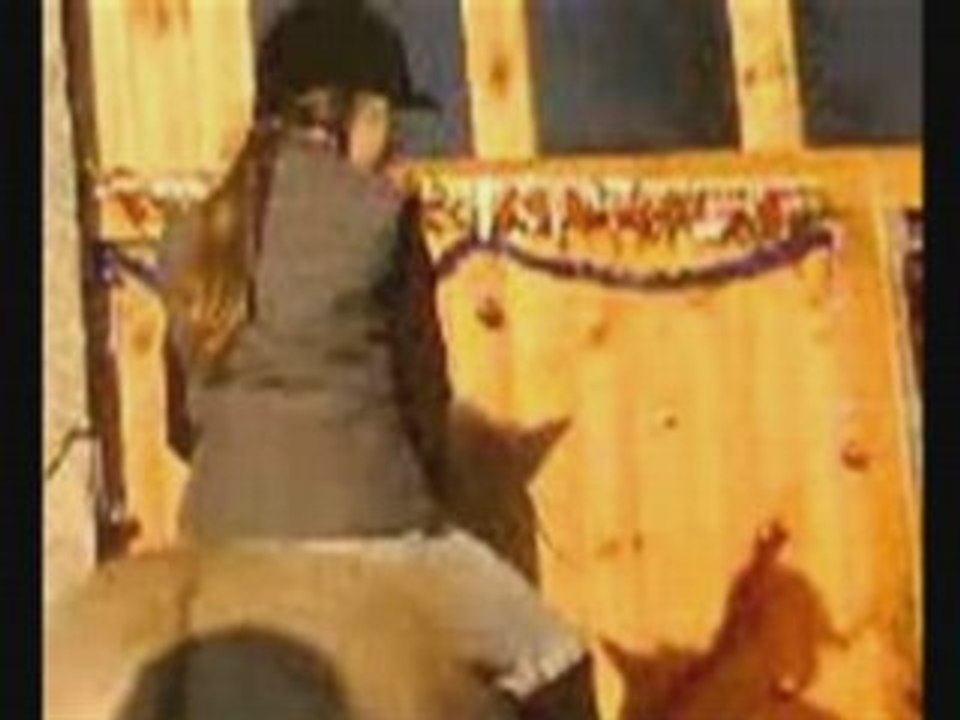 Les couples de la Licorne Enchantée