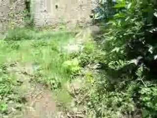 Vive le vent d'hiver